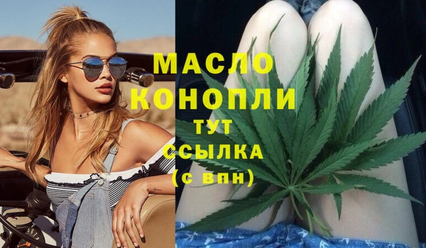 дживик Абинск