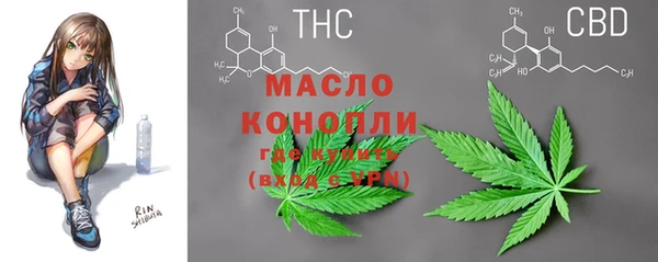 дживик Абинск