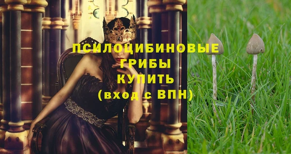 дживик Абинск