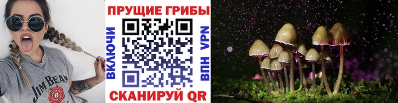 Псилоцибиновые грибы мухоморы  купить закладку  Монино 